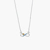 Product image [110-3-1.jpg]