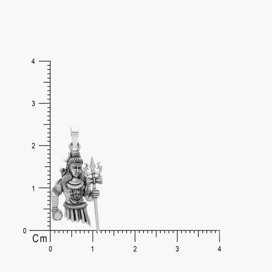 Product image [13-4-3.jpg]