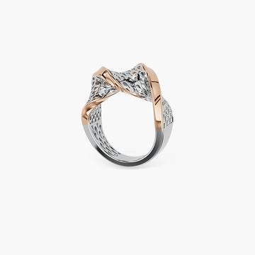 Product image [132-1-0.jpg]