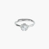 Product image [47-3.jpg]