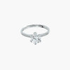 Product image [48-3.jpg]