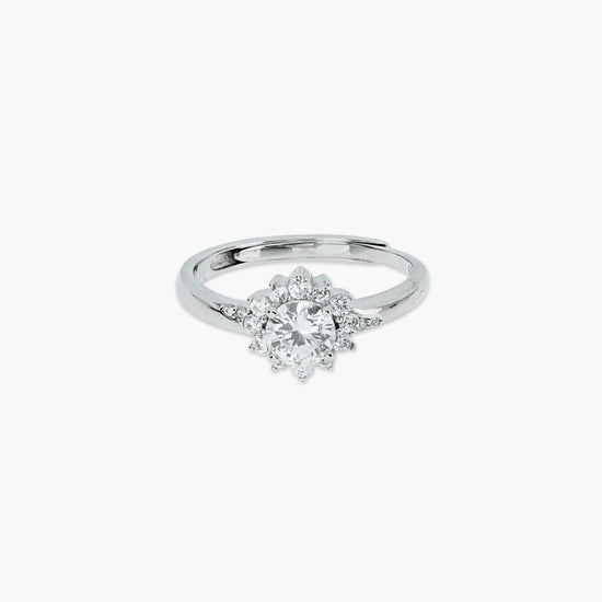 Product image [49-4-0.jpg]