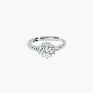 Product image [49-4-0.jpg]