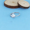 Product image [53-1-1.jpg]