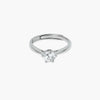 Product image [55-3.jpg]