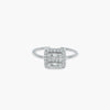 Product image [66-3-0.jpg]