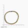 Product image [704-0.png]