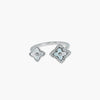 Product image [86-3.jpg]